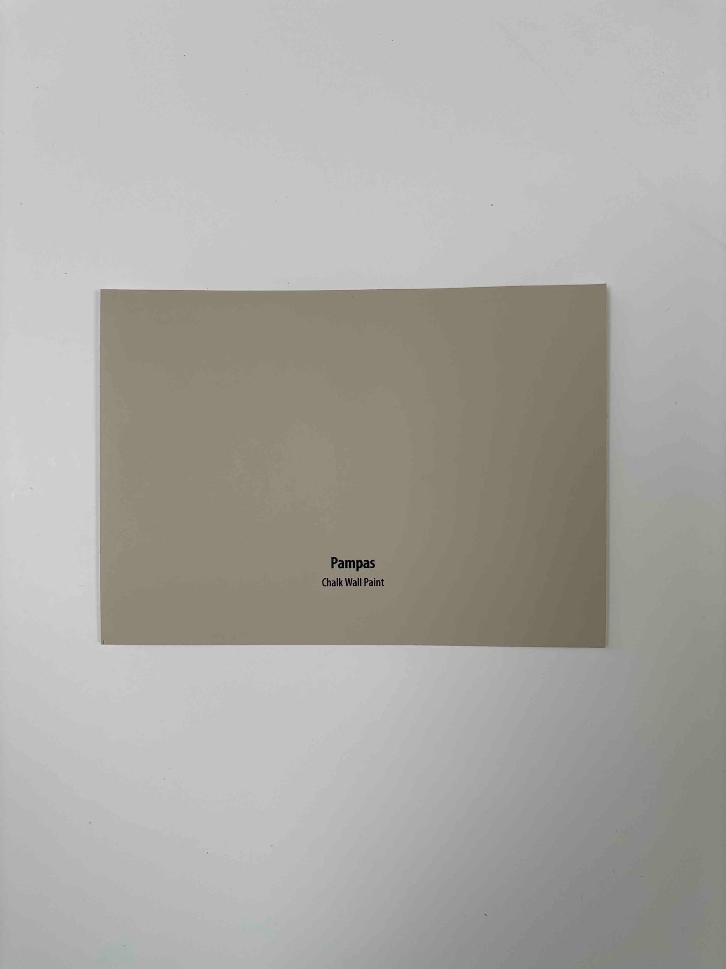 Frenchic Pampas- Peel & Stick Paint Sample