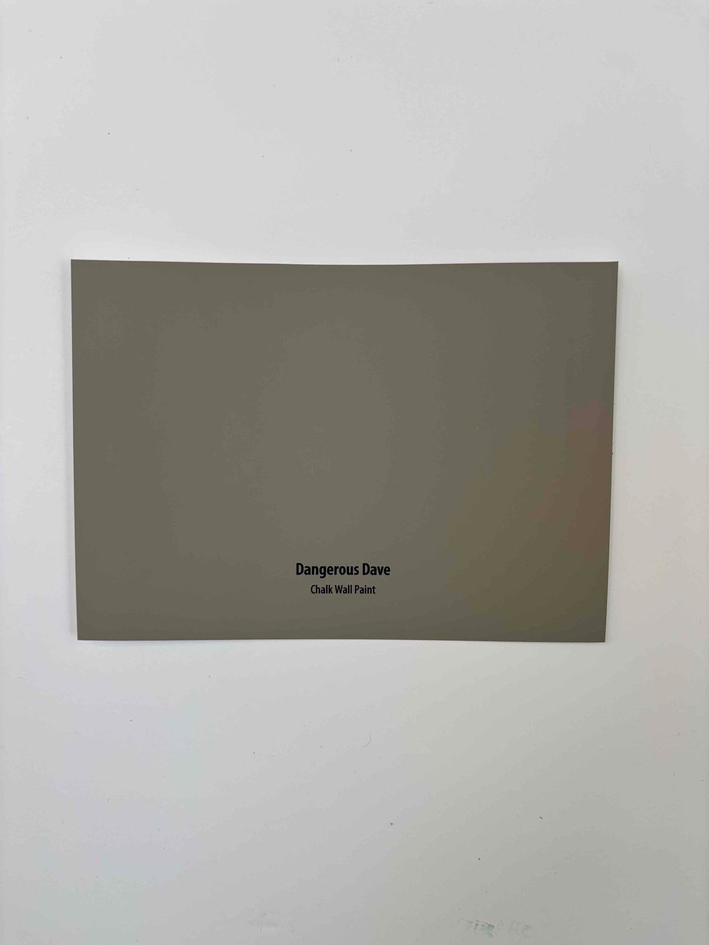 Frenchic Dangerous Dave- Peel & Stick Paint Sample