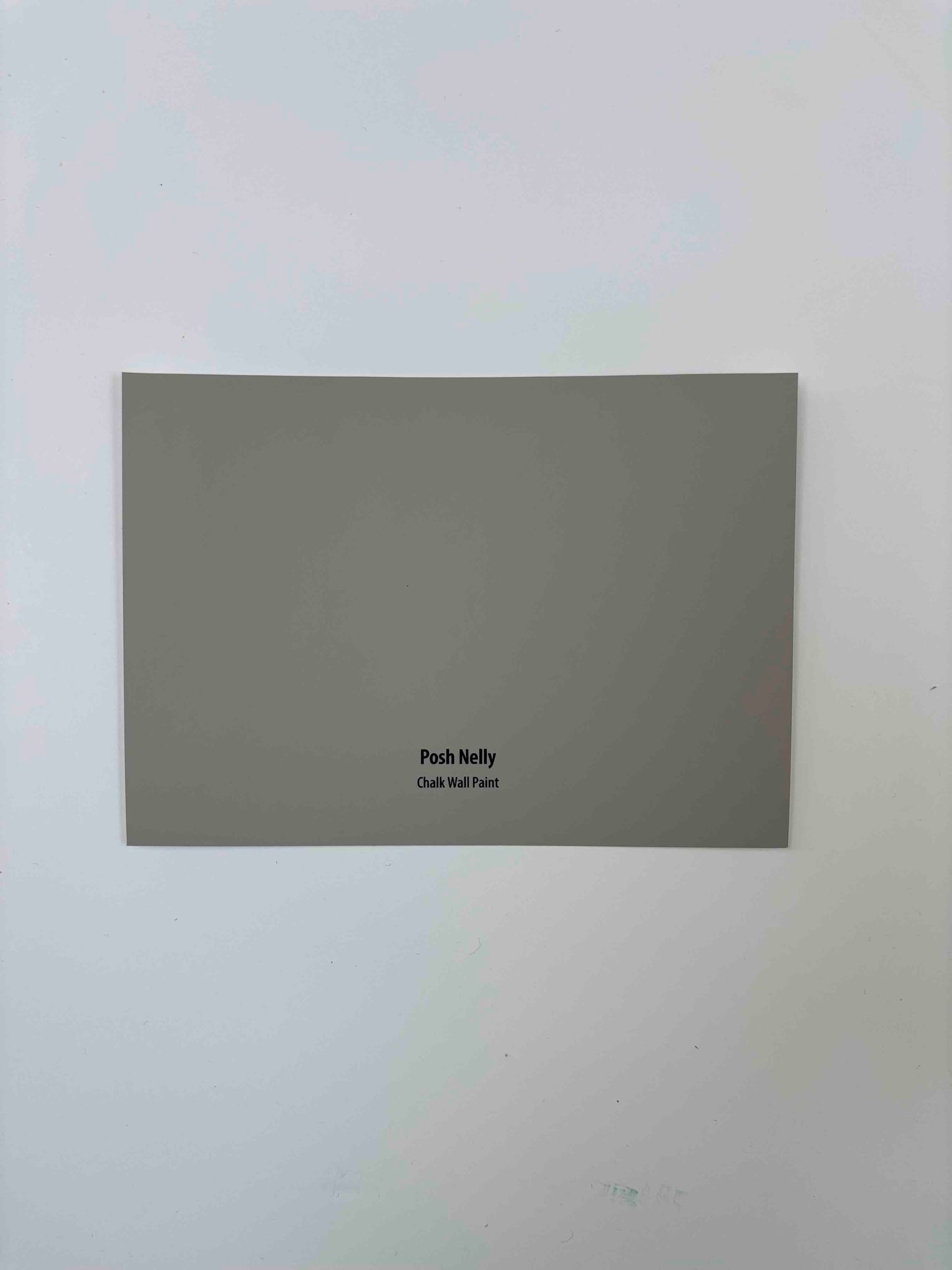 Frenchic Posh Nelly- Peel & Stick Paint Sample