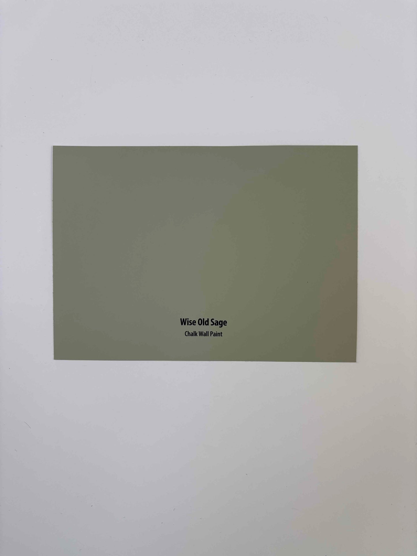 Frenchic Wise Old Sage- Peel and Stick Paint Sample