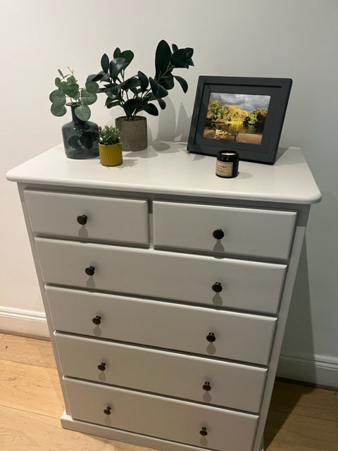Frenchic Silver Birch Wall Paint