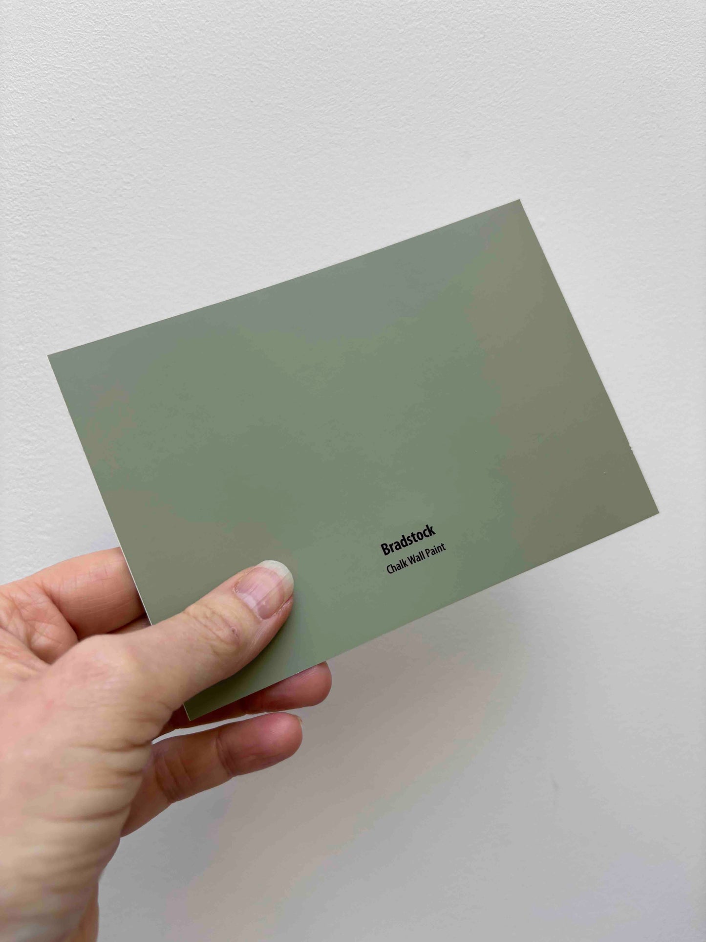 Frenchic Bradstock- Peel & Stick Paint Sample