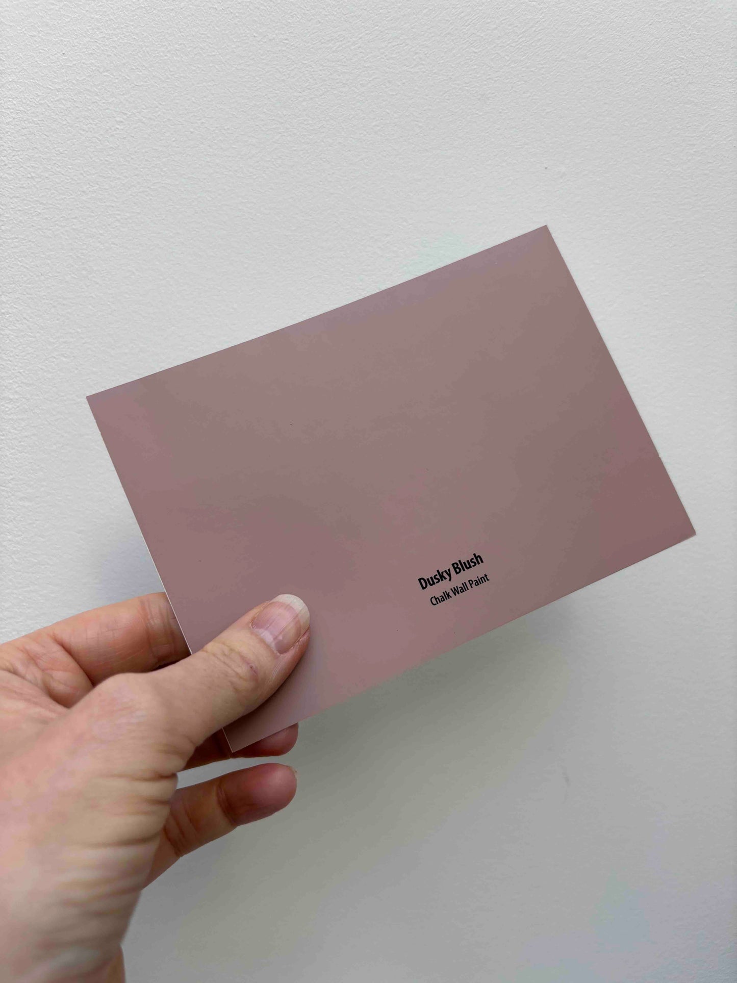 Dusky Blush- Peel and Stick Paint Sample