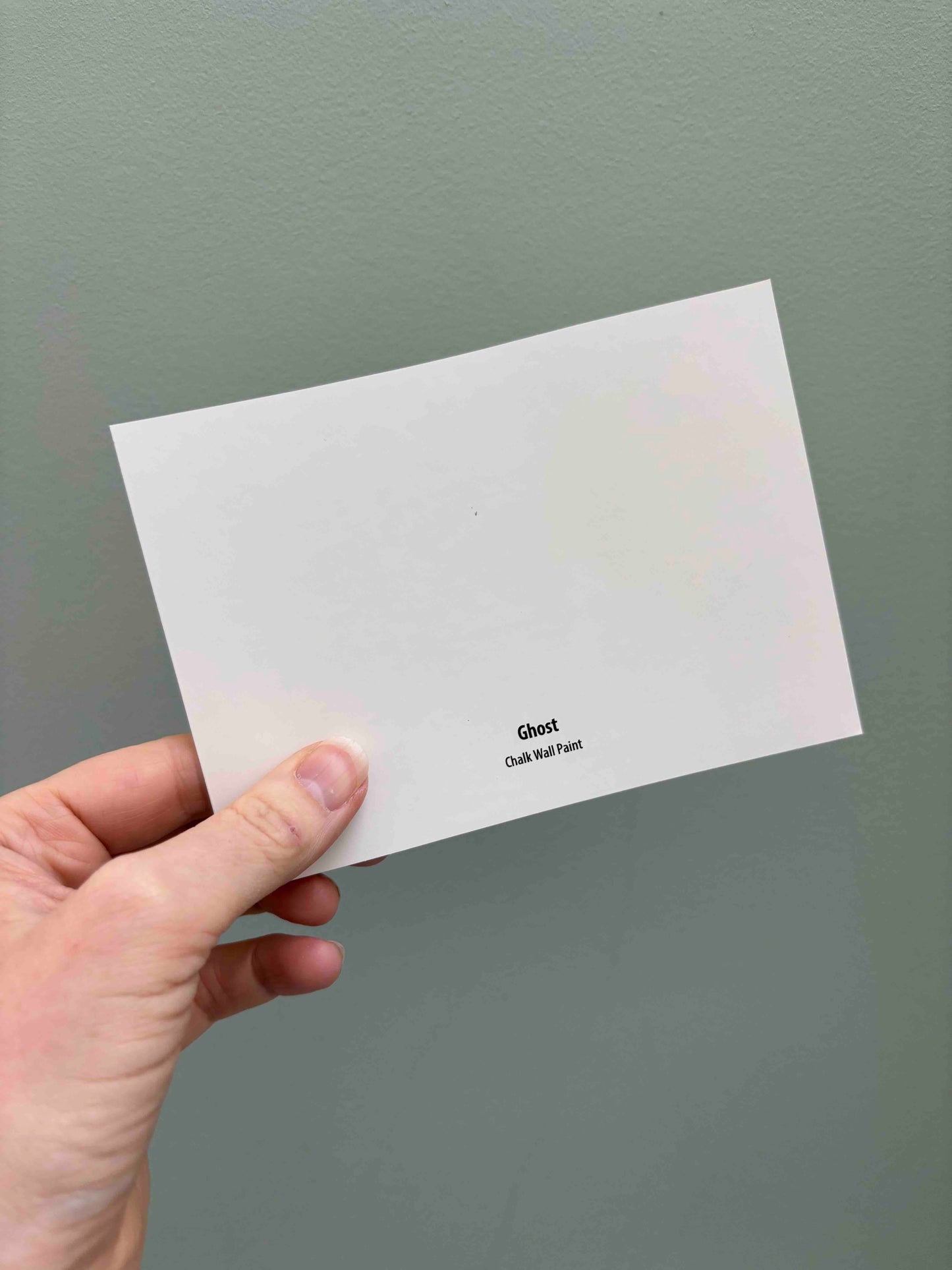 Frenchic Ghost- Peel & Stick Paint Sample