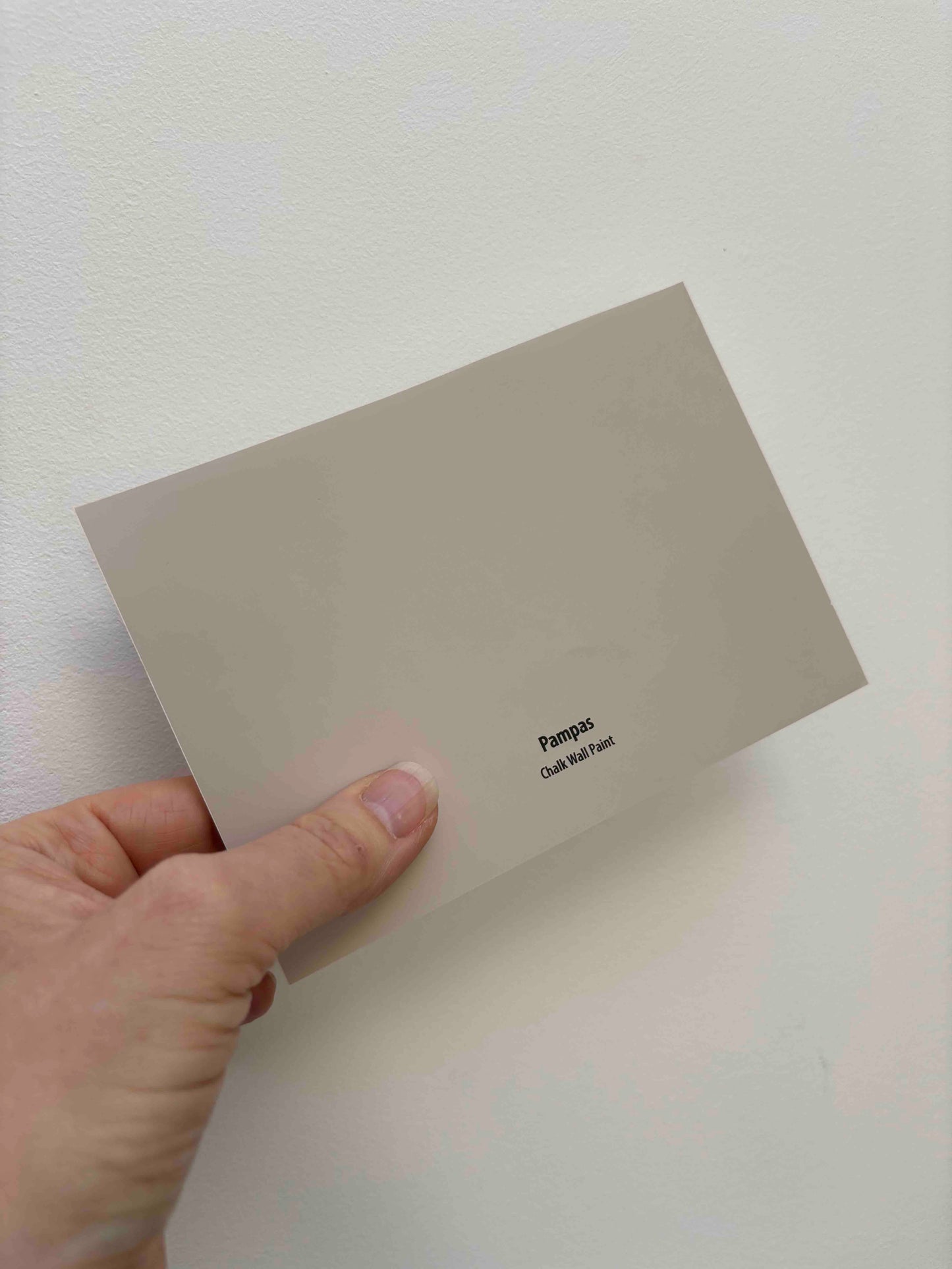 Frenchic Pampas- Peel & Stick Paint Sample