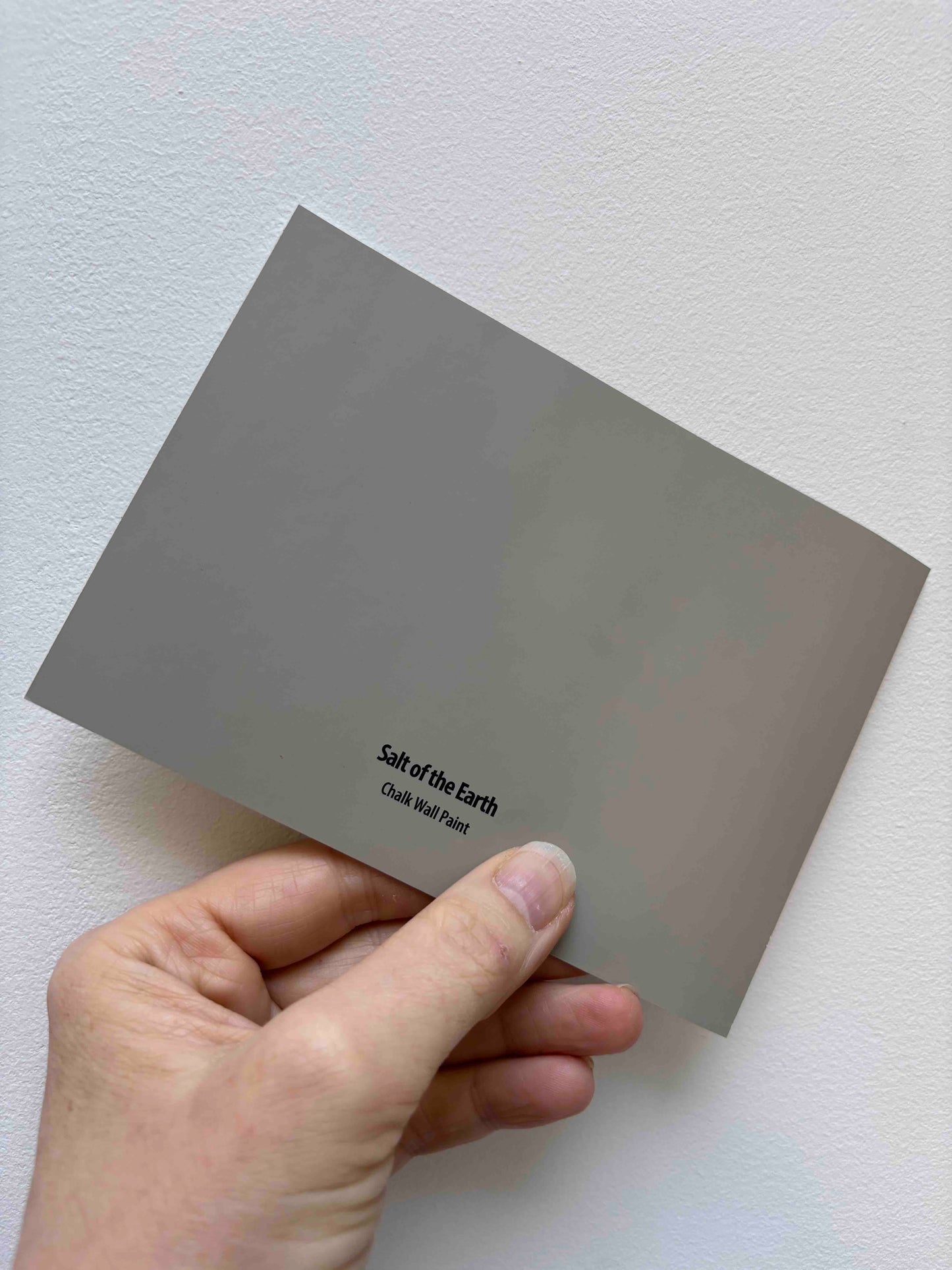 Frenchic Salt of the Earth- Peel & Stick Paint Sample