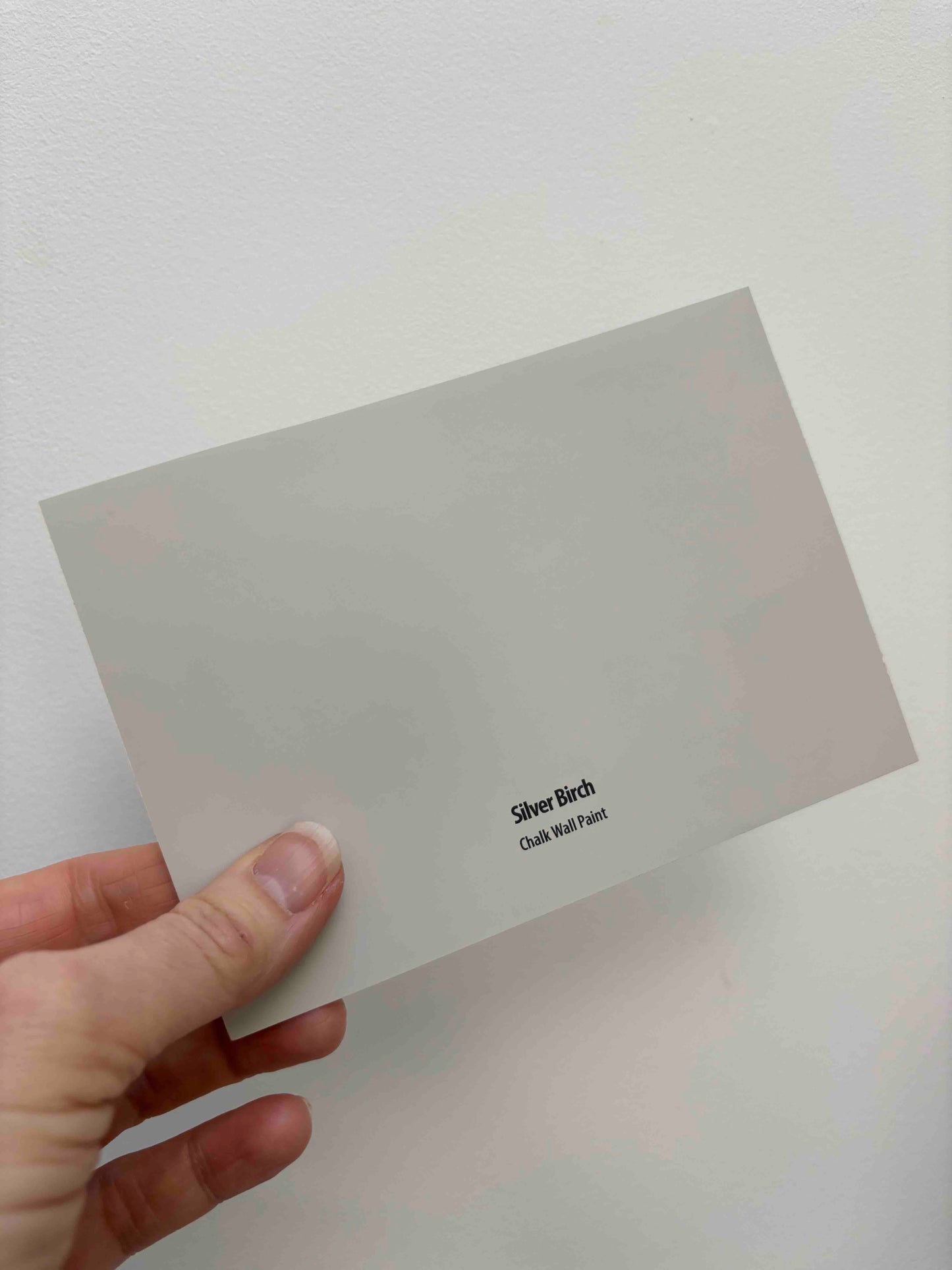 Frenchic Silver Birch- Peel and Stick Paint Sample