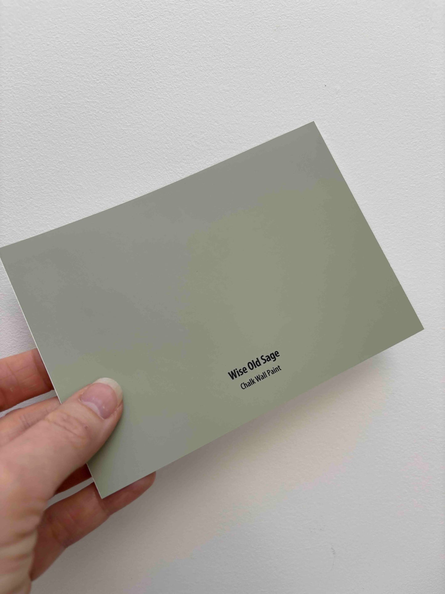 Frenchic Wise Old Sage- Peel & Stick Paint Sample