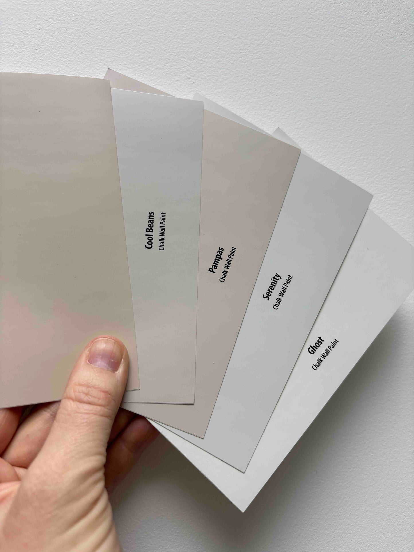 Frenchic Peel & Stick Paint Sample (pack of 5)- NEUTRALS