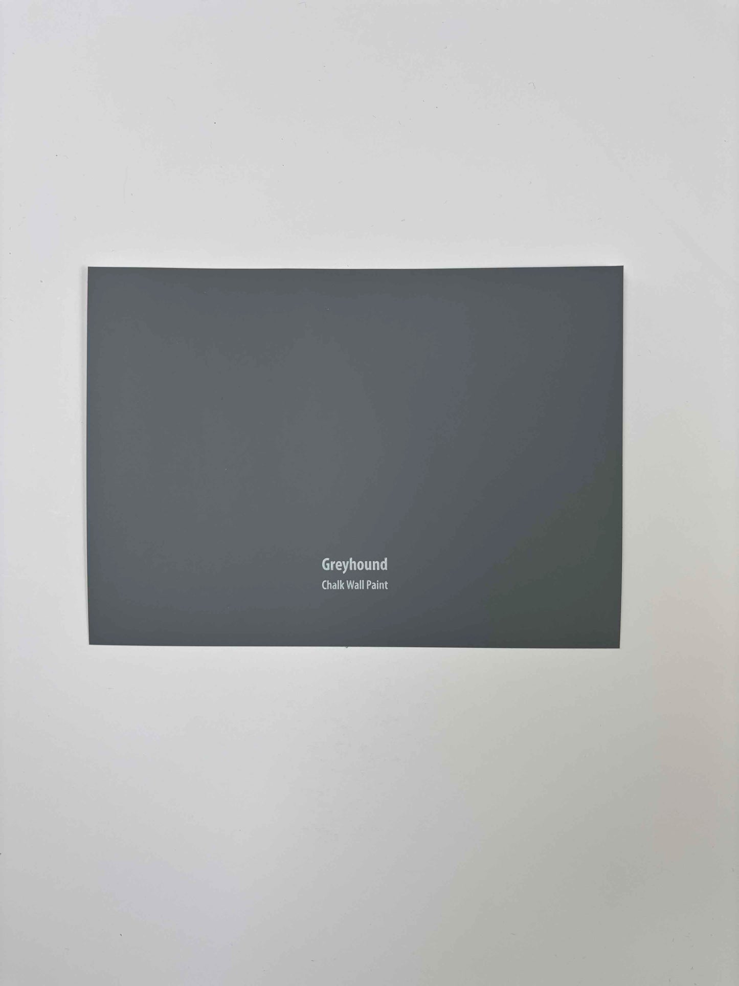 Frenchic Greyhound- Peel and Stick Paint Sample