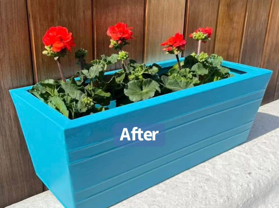 Wood, Terracotta and Ceramic Pot Painting- Saturday 7th March