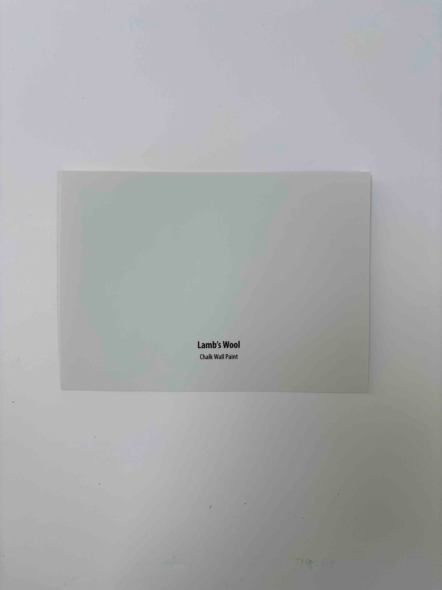 Frenchic Lamb's Wool- Peel and Stick Sample