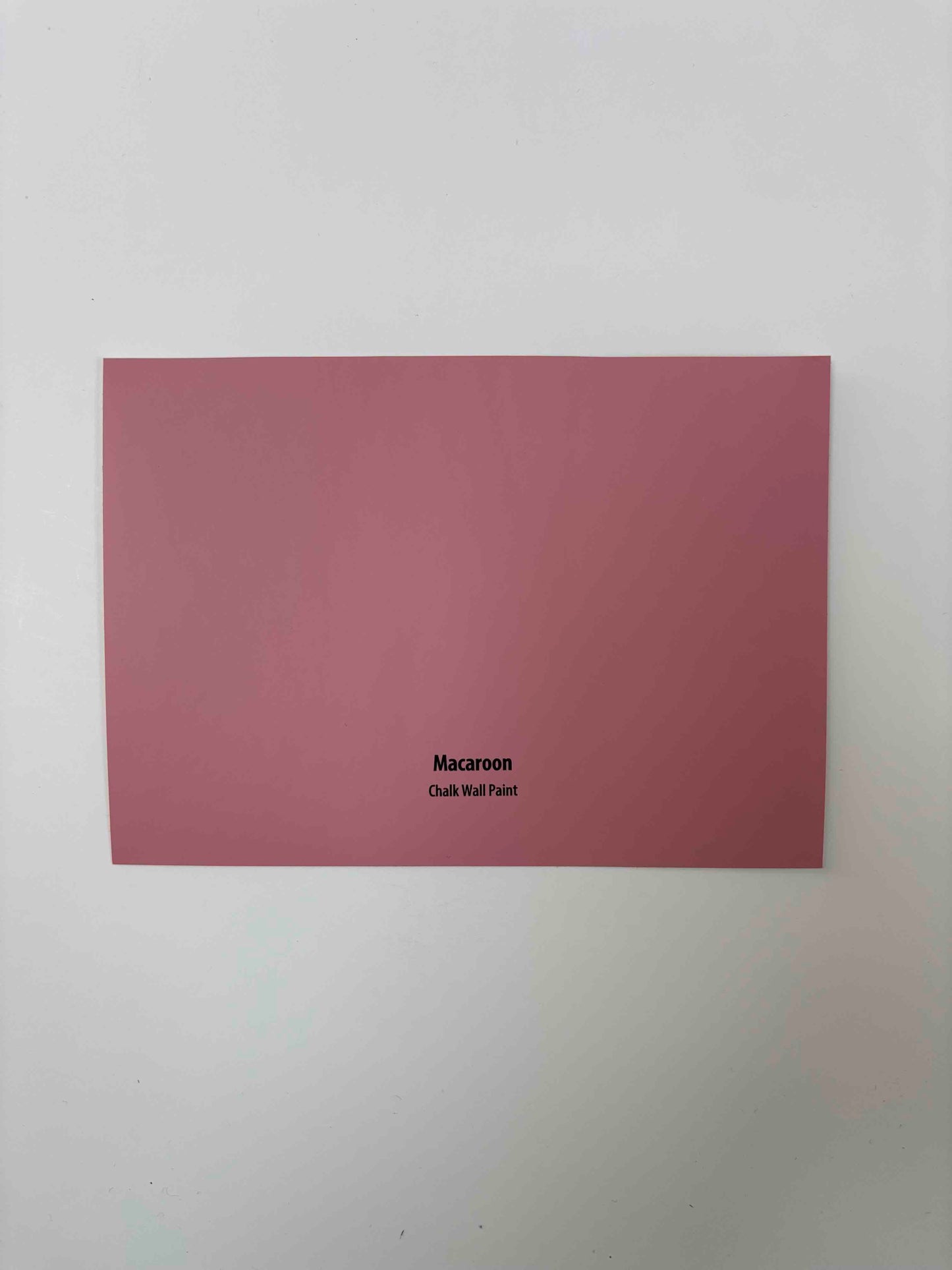 Frenchic Macaroon- Peel and Stick Paint Sample