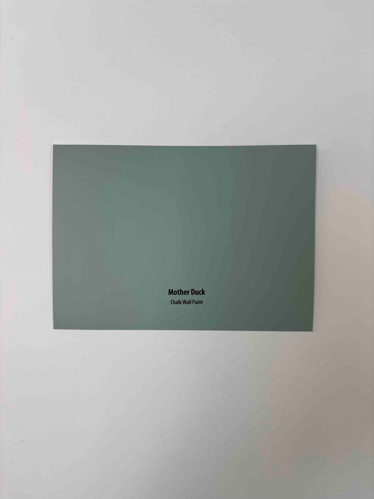 Frenchic Mother Duck- Peel and Stick Paint Sample
