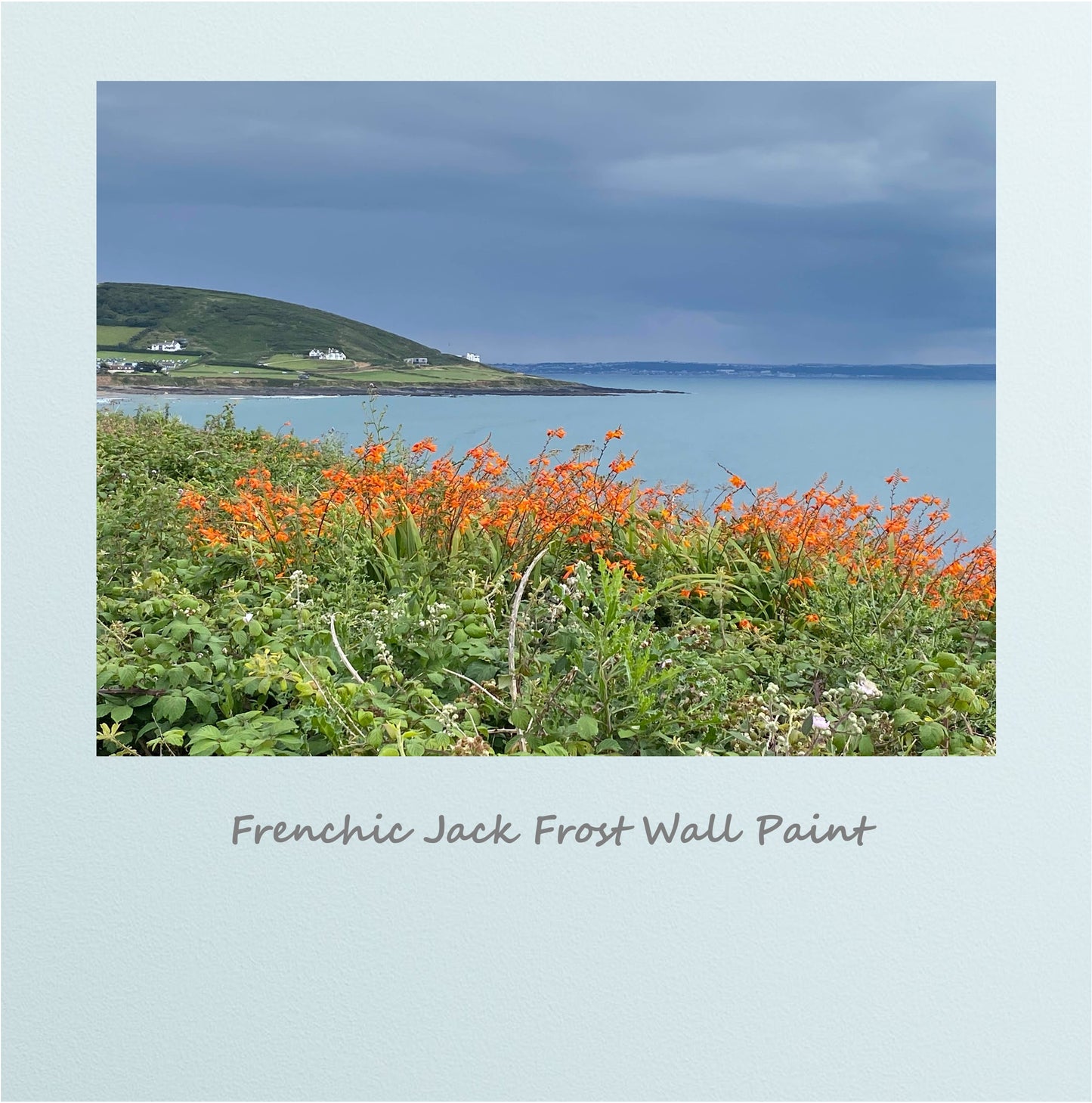 Croyde Bay Print