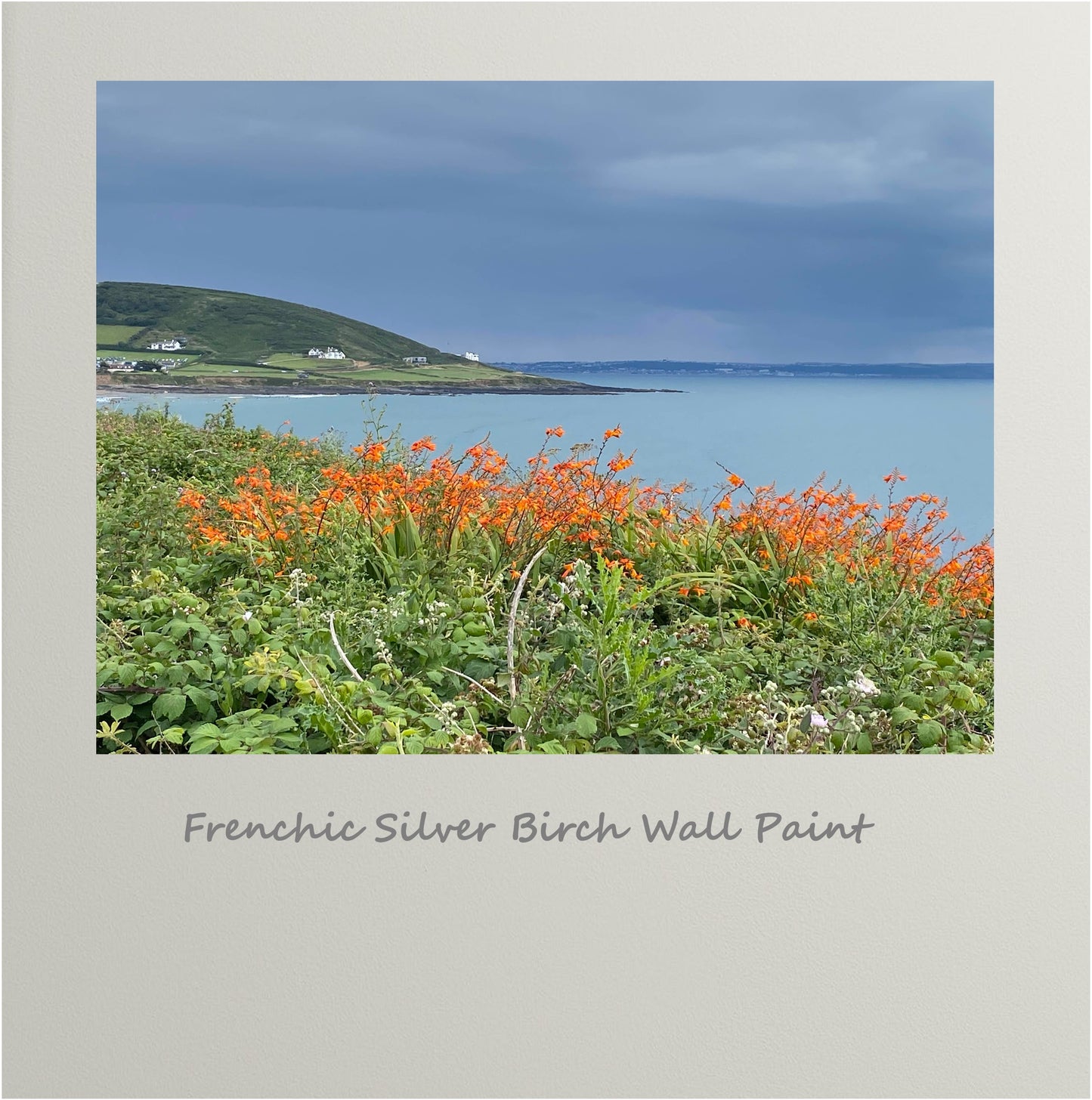Frenchic Silver Birch Wall Paint