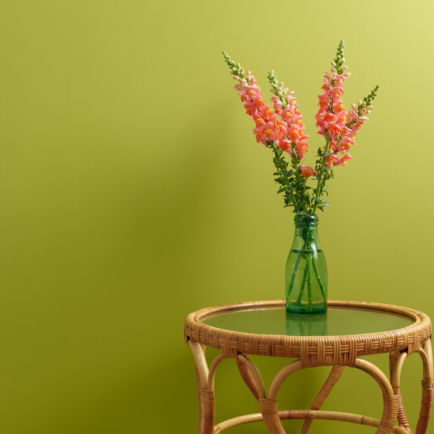 Frenchic Lime Light- Peel and Stick Paint Sample