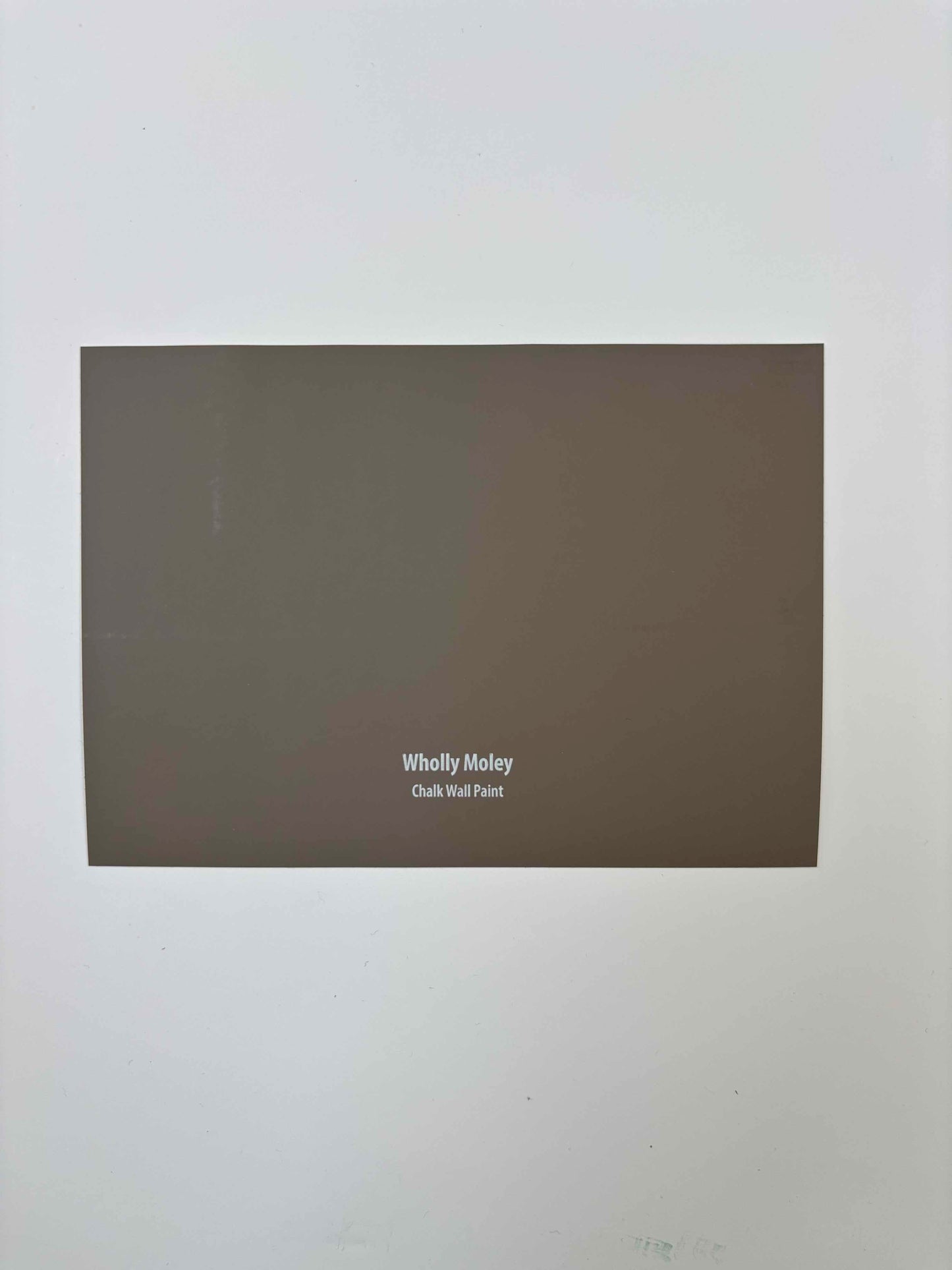 Frenchic Wholly Moley-  Peel & Stick Paint Sample