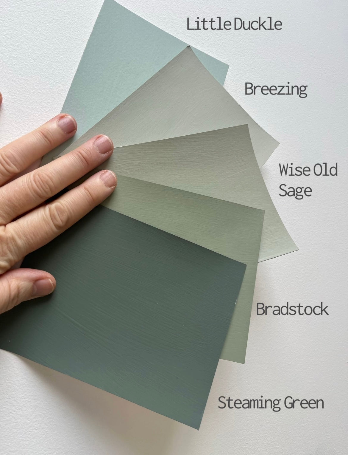 Frenchic Wall Paint Sample (pack of 5)- GREENS