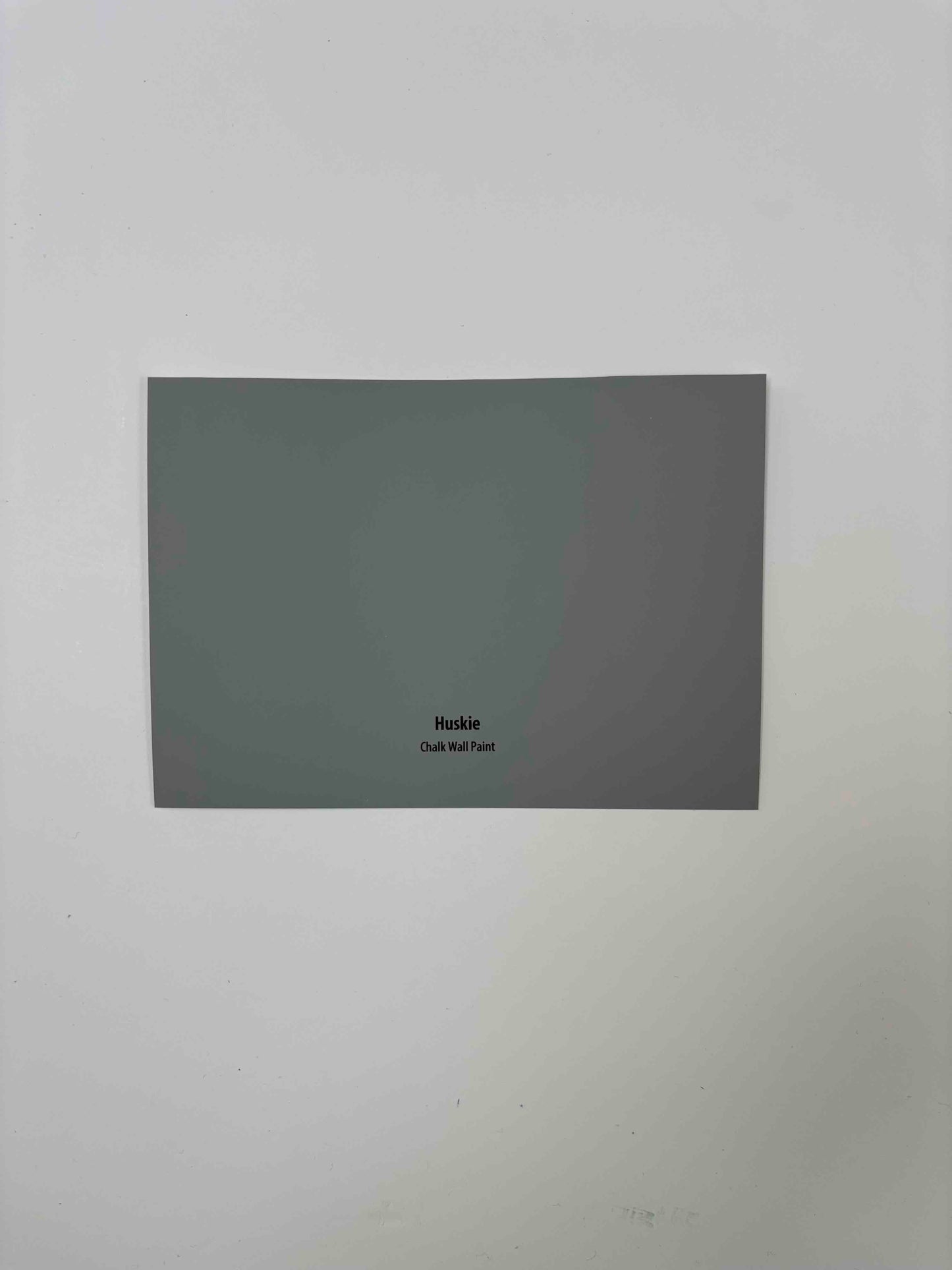 Frenchic Huskie- Peel and Stick Paint Sample