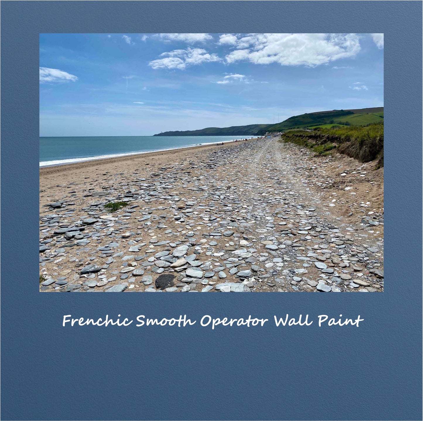 Smooth Operator Wall Paint